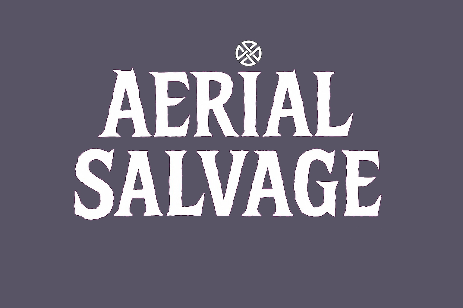 Aerial Salvage